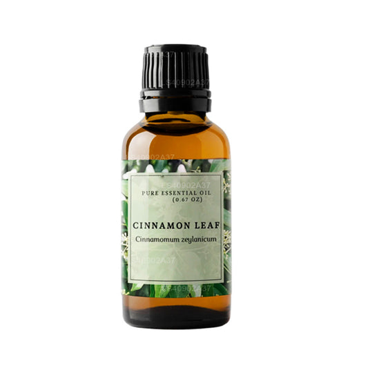 Olio essenziale di foglie di cannella Lakpura (15ml)