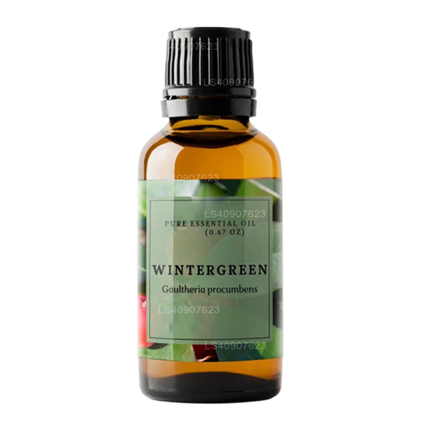 Olio essenziale Lakpura Wintergreen (15ml)