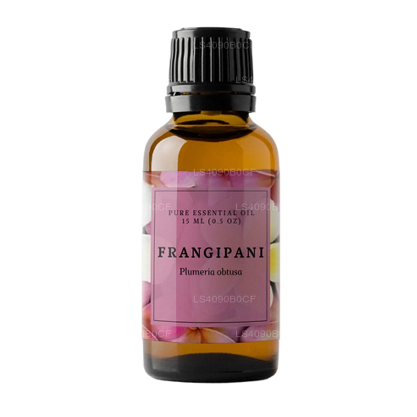 Olio essenziale di frangipani Lakpura «Absolute» (15ml)