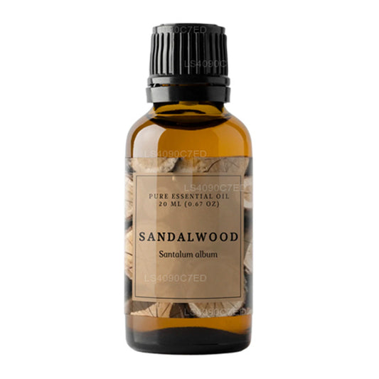 Olio essenziale di legno di sandalo indiano Lakpura (20ml)