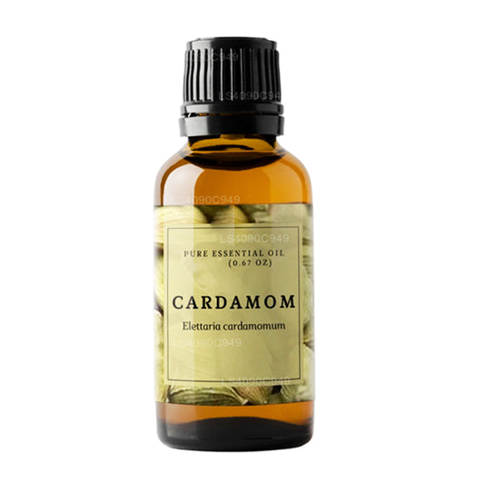 Olio essenziale di cardamomo Lakpura (15ml)