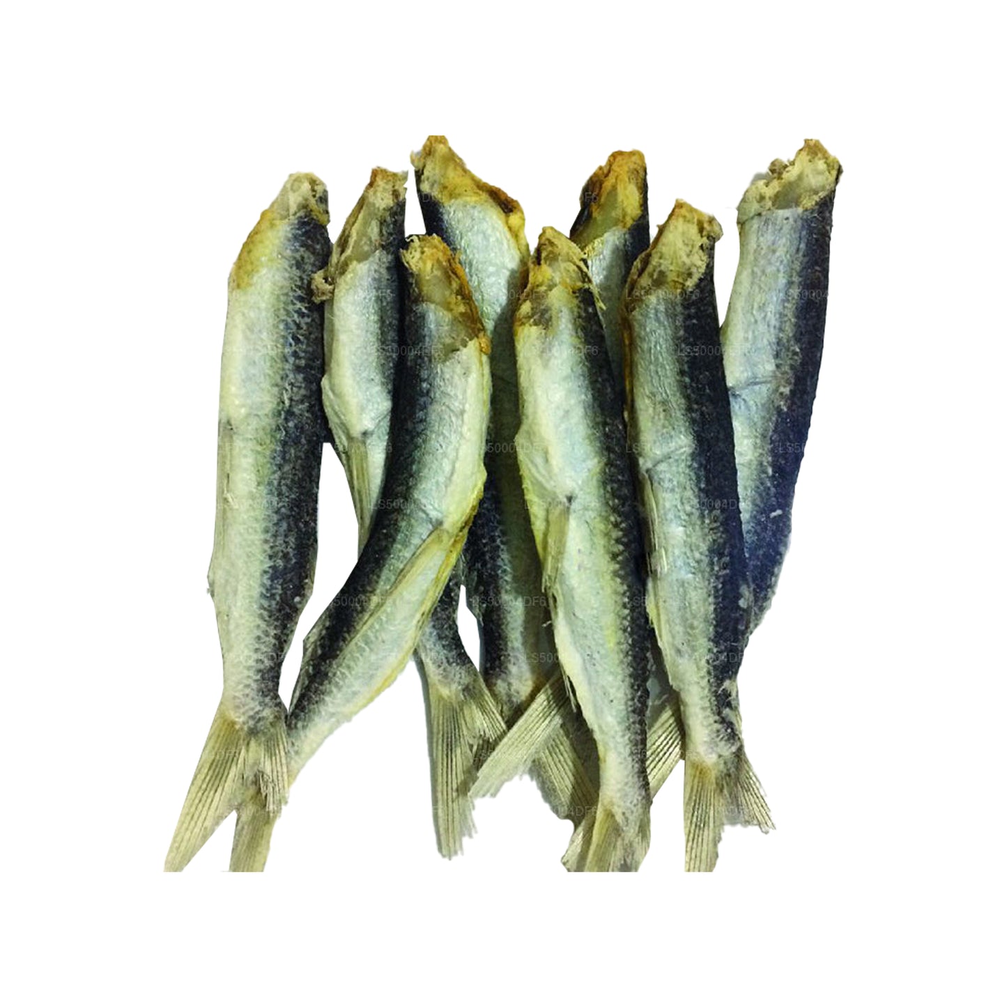 Pesce volante essiccato Lakpura «» (200g)