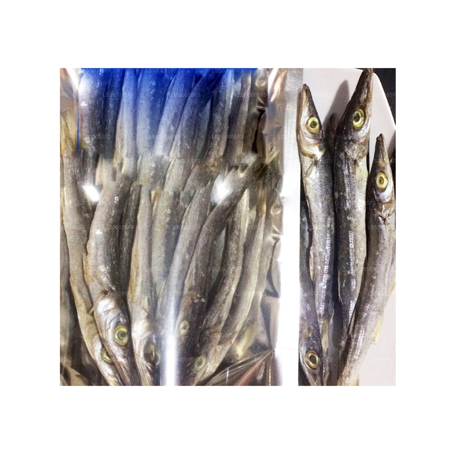 Lakpura Barracuda essiccati (200g)