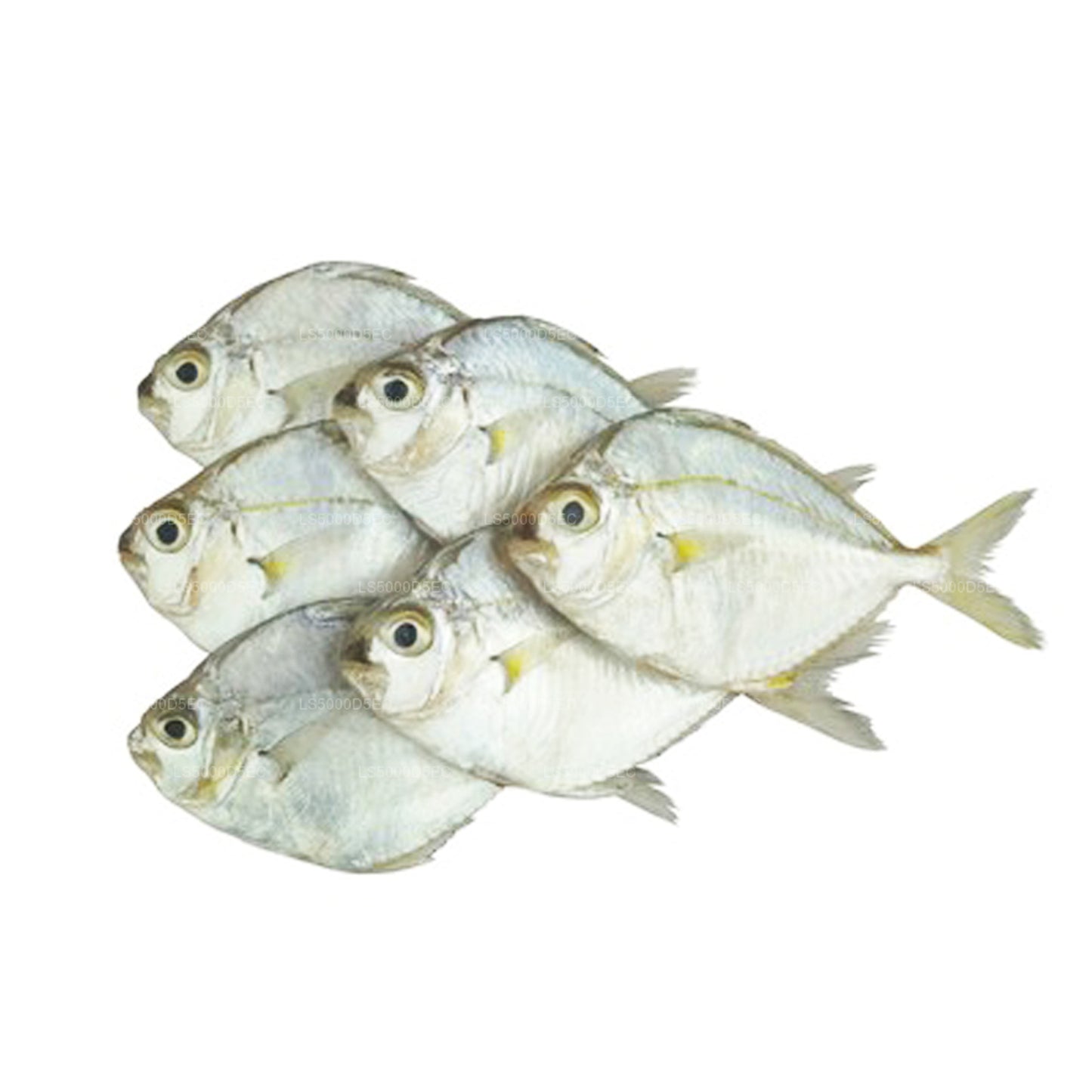 Pesce pony essiccato Lakpura (200g)