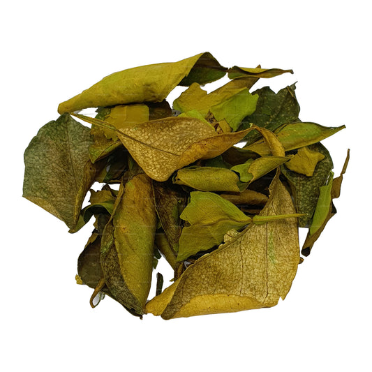 Foglie di Yaki Naran (Atalantia Ceylanica) disidratate Lakpura (100g)