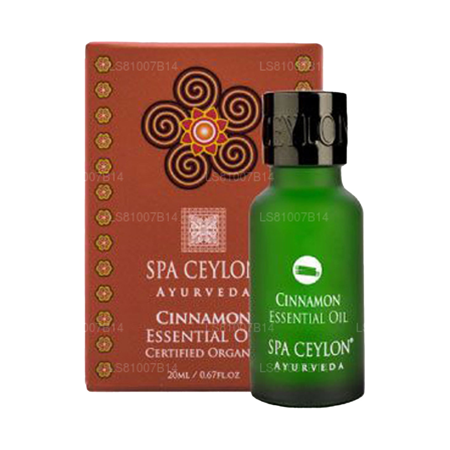 Cannella Spa Ceylon - Olio essenziale (20ml)