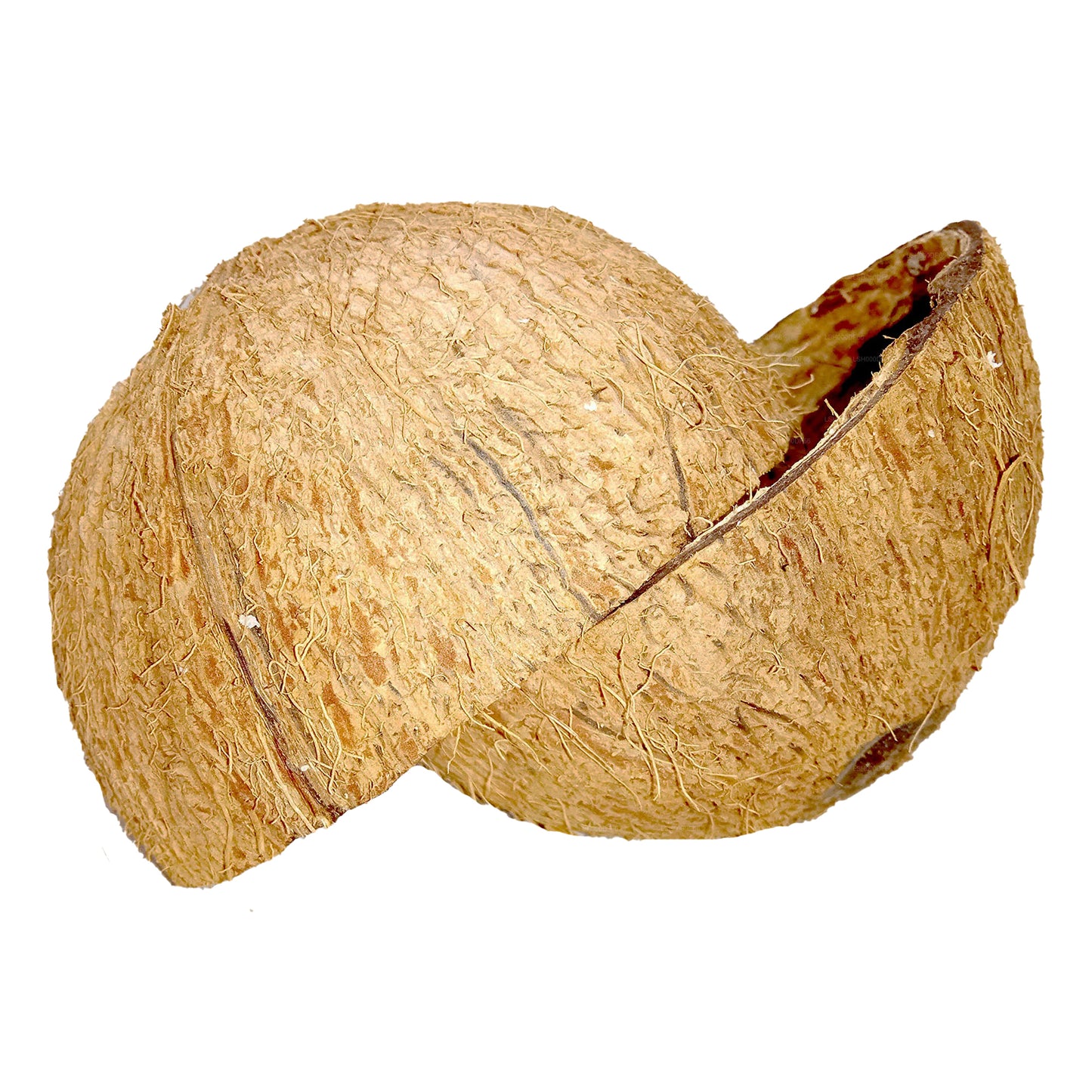 Coconut Shell Halves (2 pezzi)