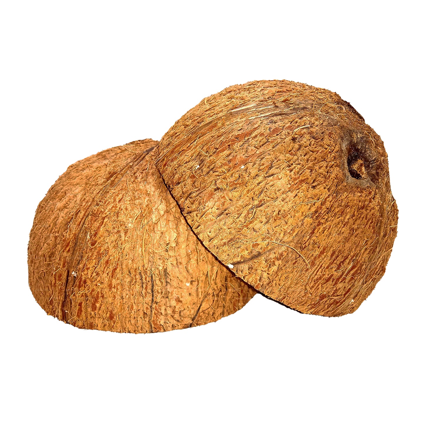 Coconut Shell Halves (2 pezzi)