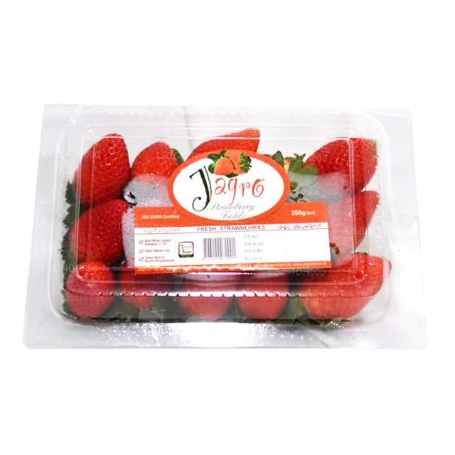 Fragola Jagro (250g)