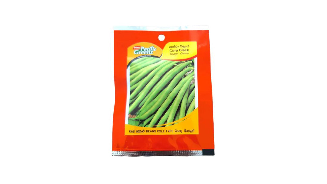 Beans (වැල් බෝංචි) Vegetable Seeds