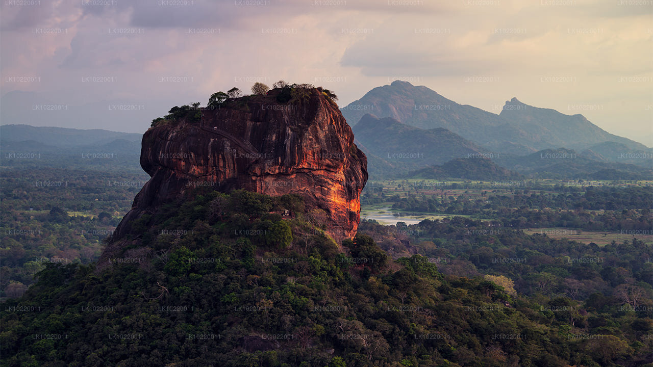 Ethos of Ceylon da Kandy (2 giorni)