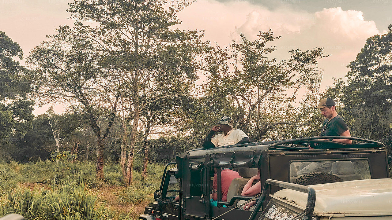 Templi e natura selvaggia da Negombo (2 giorni)