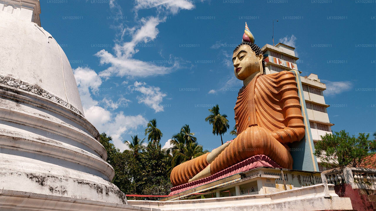 Templi e natura selvaggia da Negombo (2 giorni)