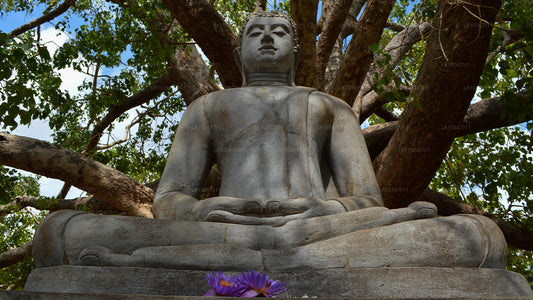 Città sacra di Anuradhapura da Colombo (3 giorni)