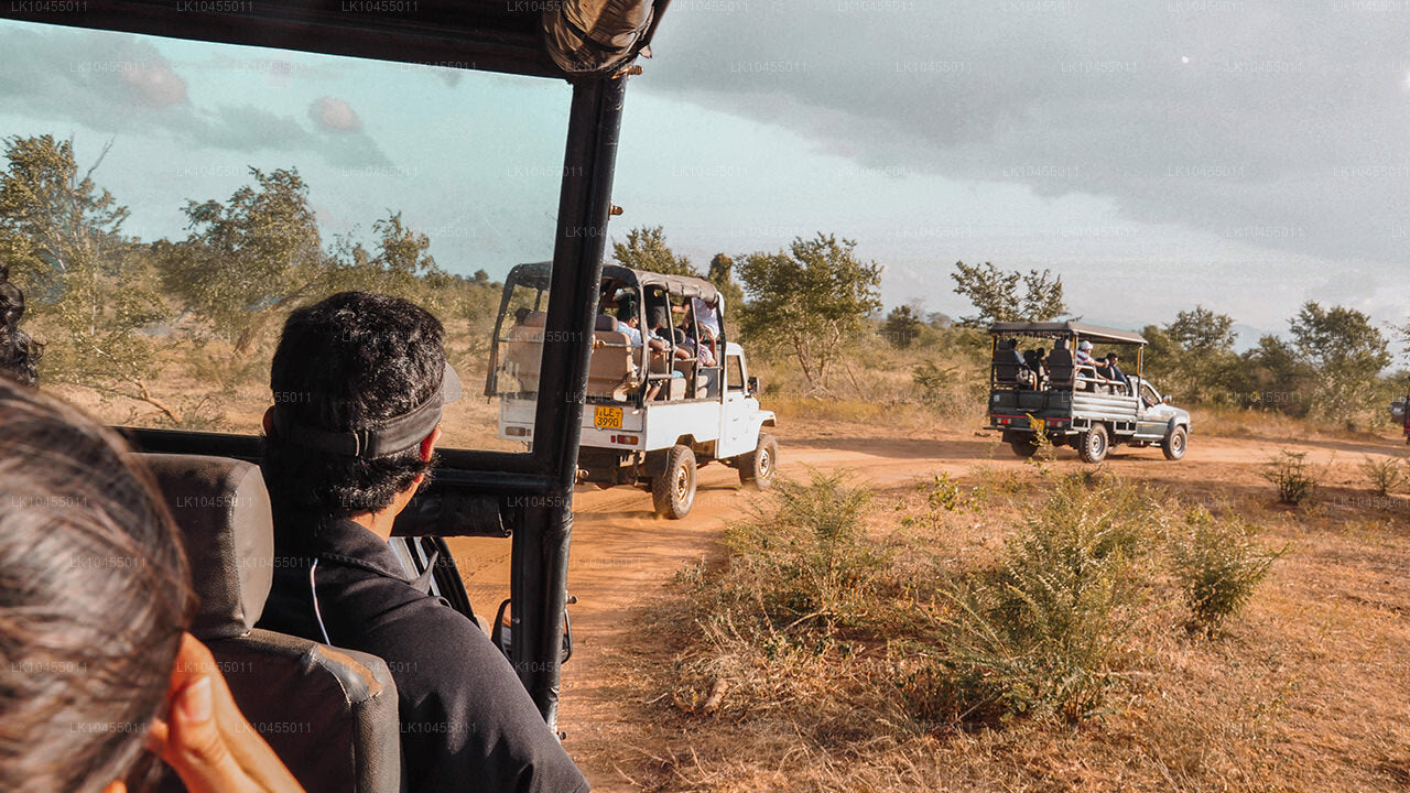 Tour degli aborigeni dello Sri Lanka (4 giorni)