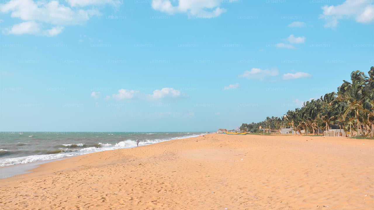 Spiaggia e città (4 giorni)