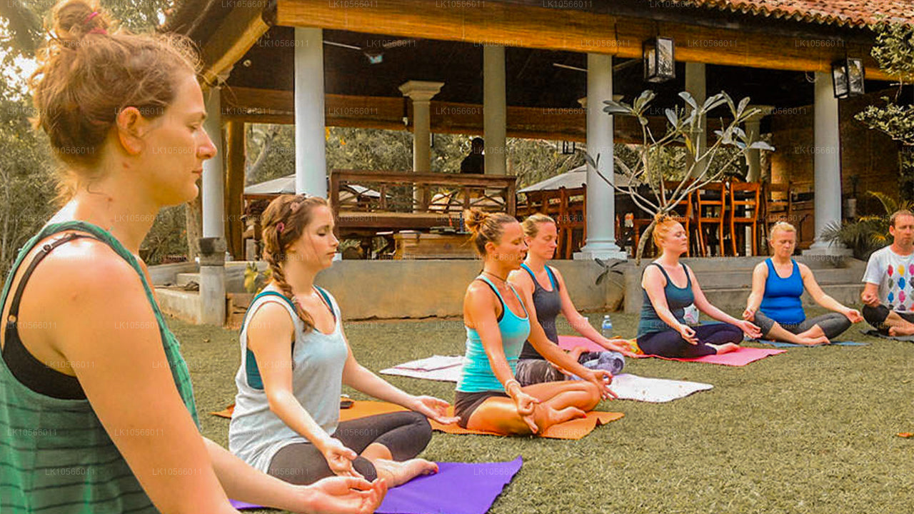 Tour di meditazione e yoga (5 giorni)