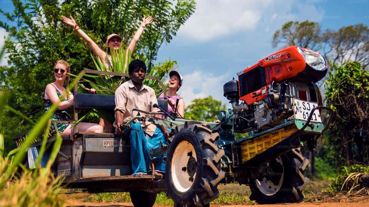 Agro Tour dello Sri Lanka (6 giorni)