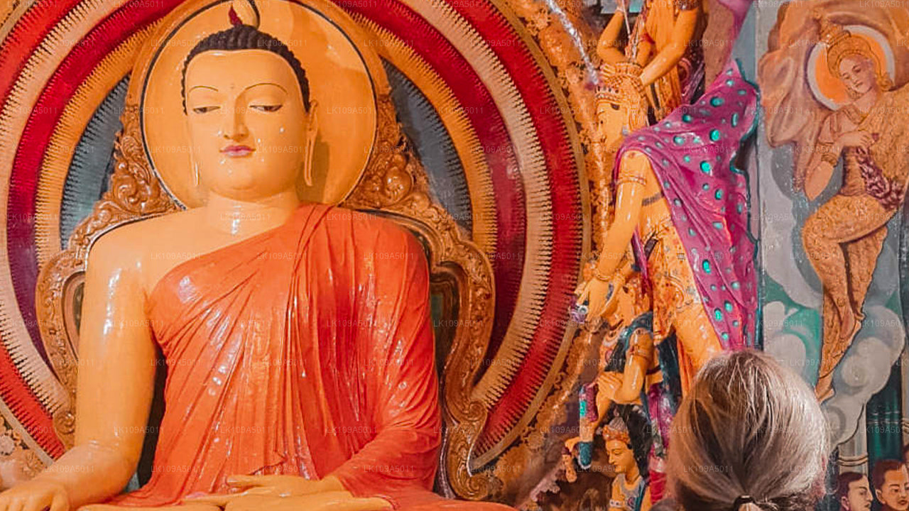 Tour di pellegrinaggio buddista (9 giorni)