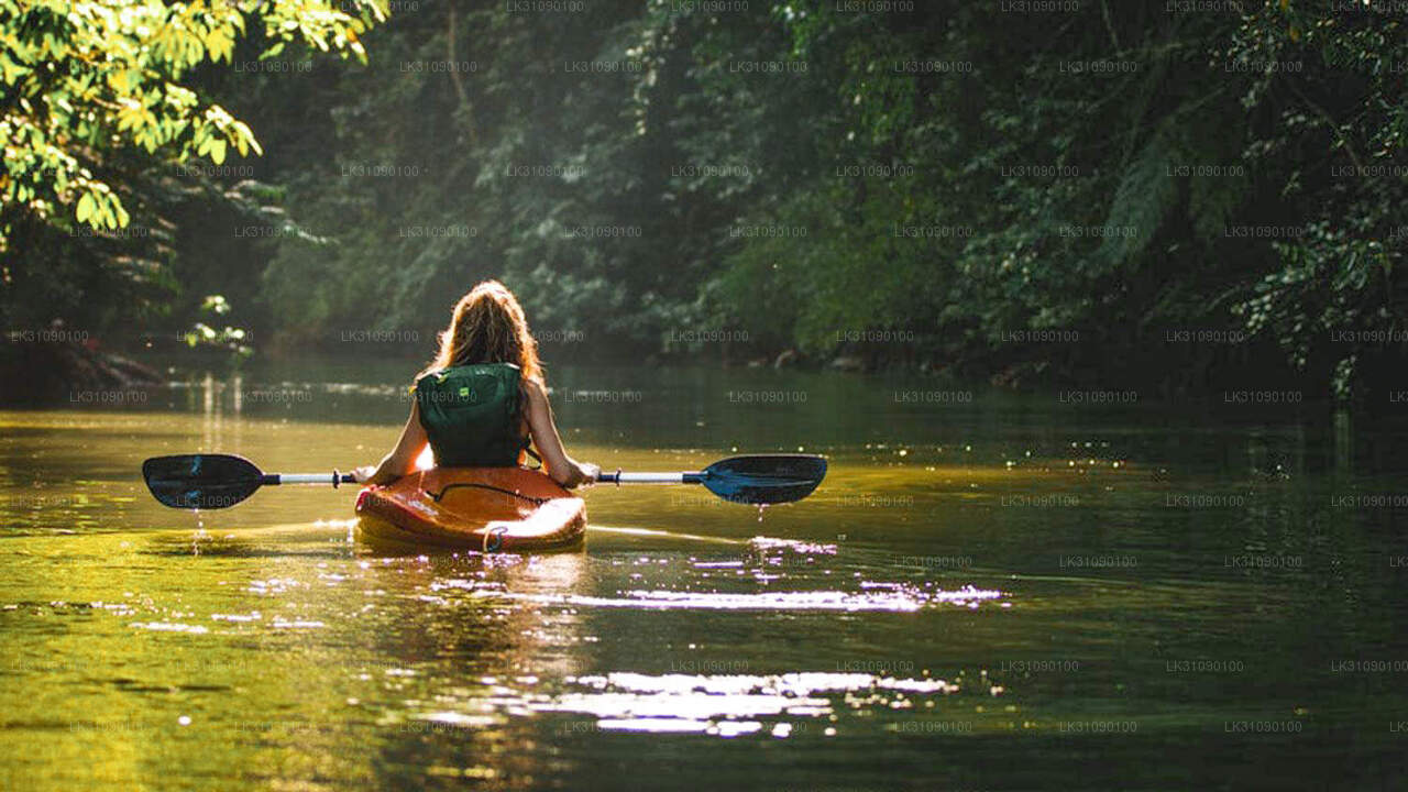 Kayaking at Buduruwagala Reservoir from Ella