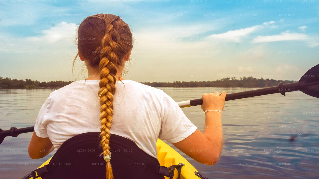 Kayaking from Hikkaduwa