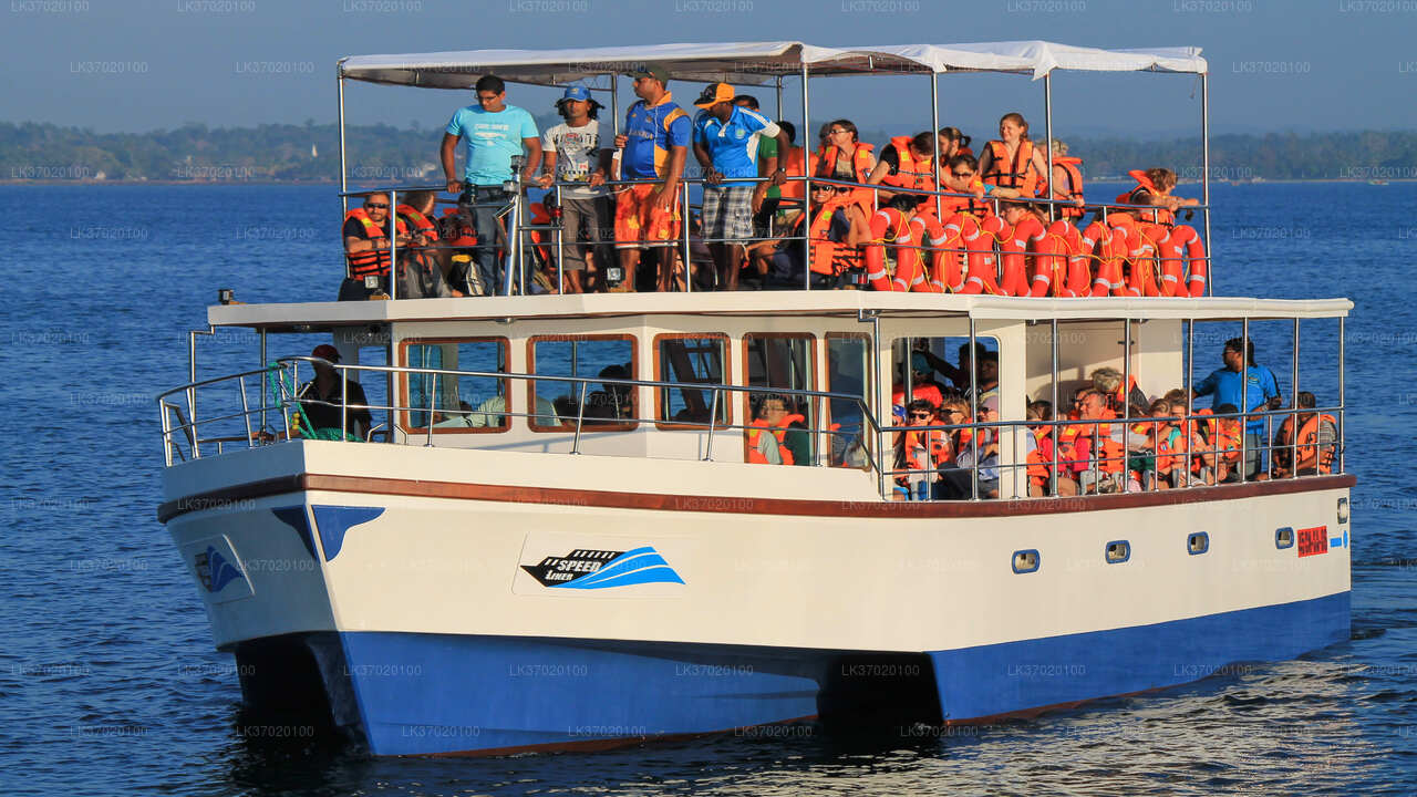 Tour in barca per osservare le balene da Ahungalla