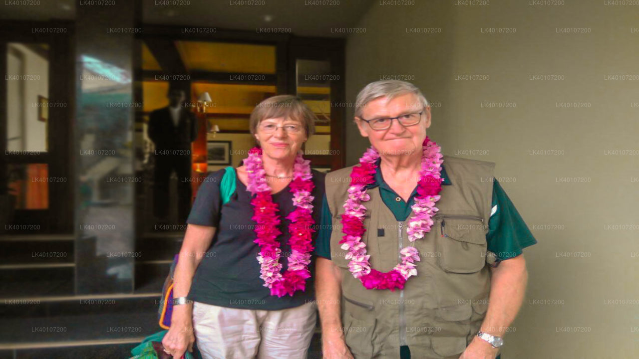 Trasferimento privato dall'aeroporto di Colombo (CMB) alla città di Sigiriya