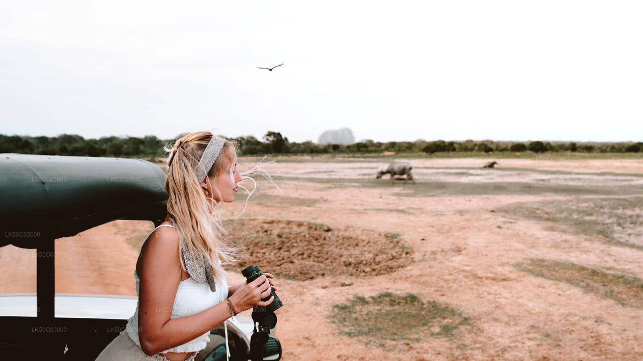 Safari privato nel Parco Nazionale di Kaudulla