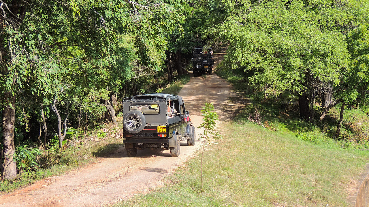 Safari privato nel Parco Nazionale di Kaudulla