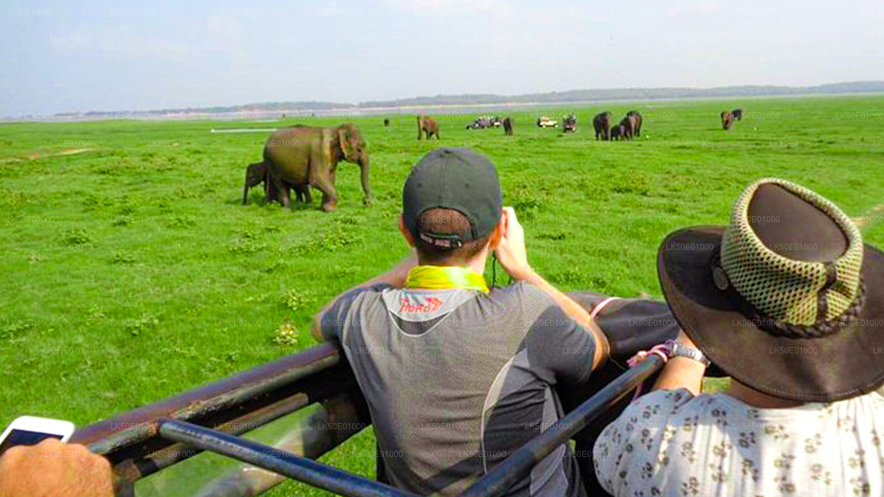 Safari privato al parco ecologico Hurulu