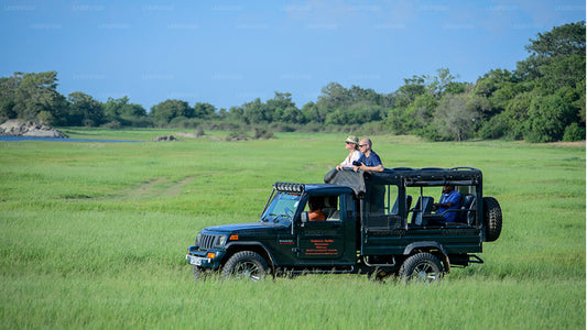 Safari privato nel Parco Nazionale di Wilpattu