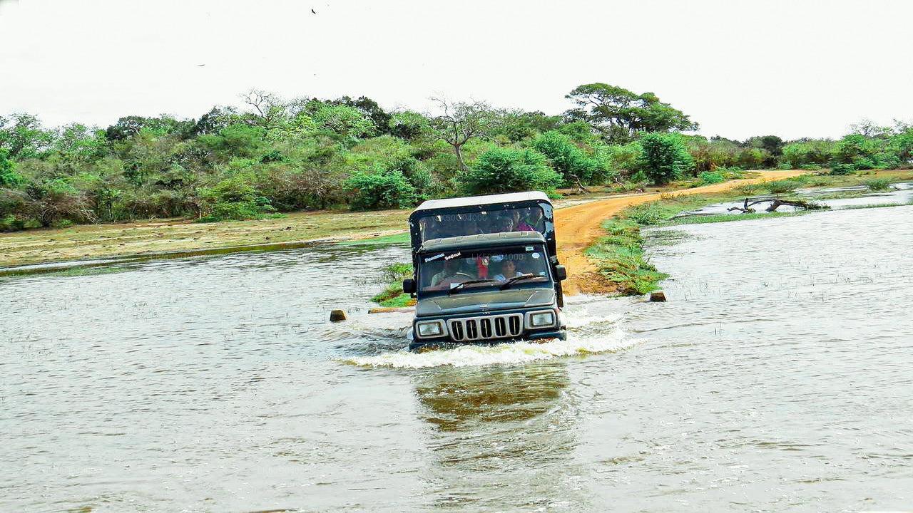 Kumana National Park Safari from Pottuvil