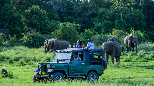 Safari privato nel parco nazionale di Bundala