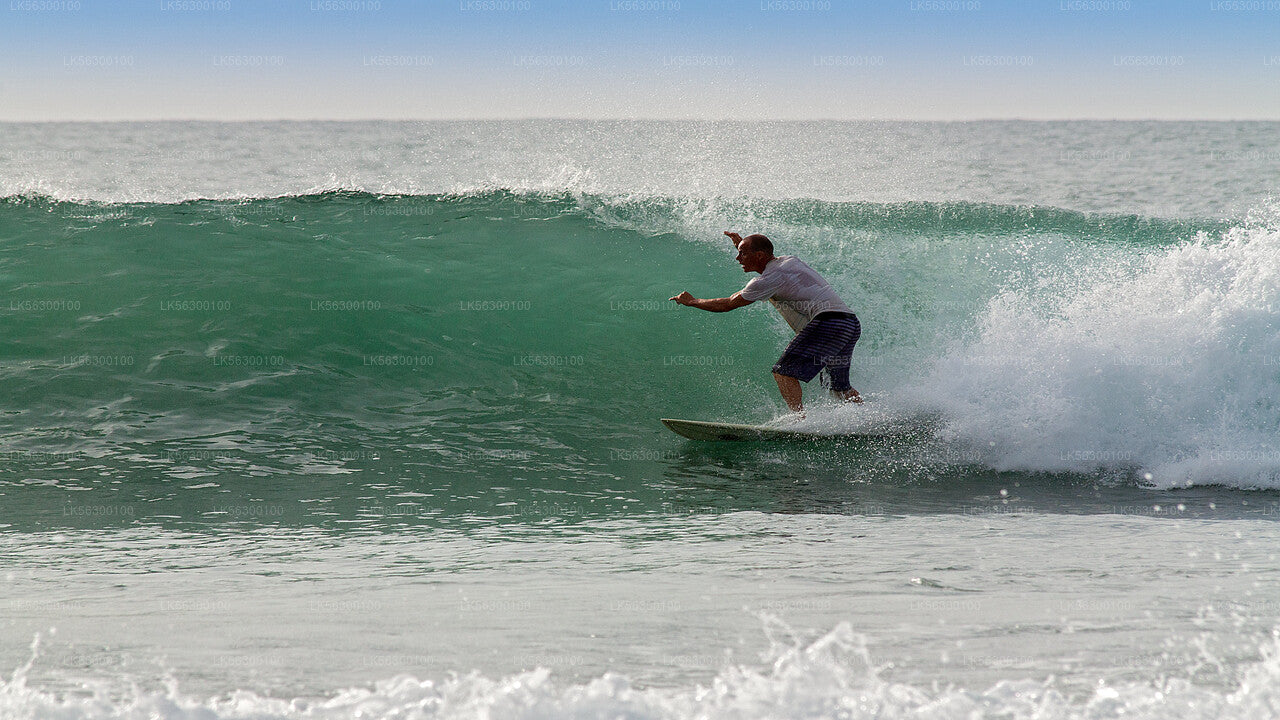 Surfing from Weligama