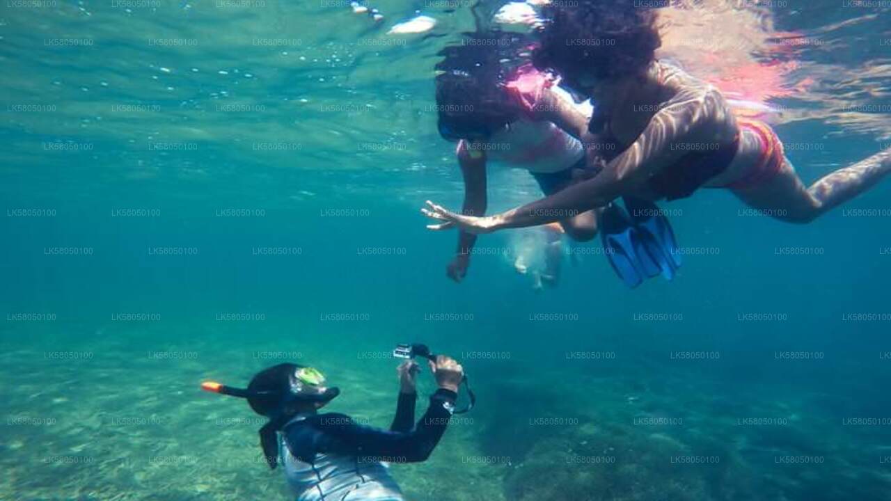 Snorkeling da Negombo