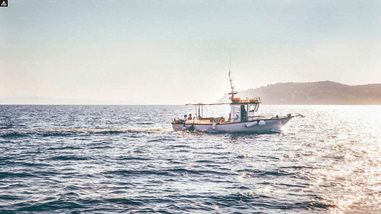 Tour in barca per pesca d'altura da Hikkaduwa