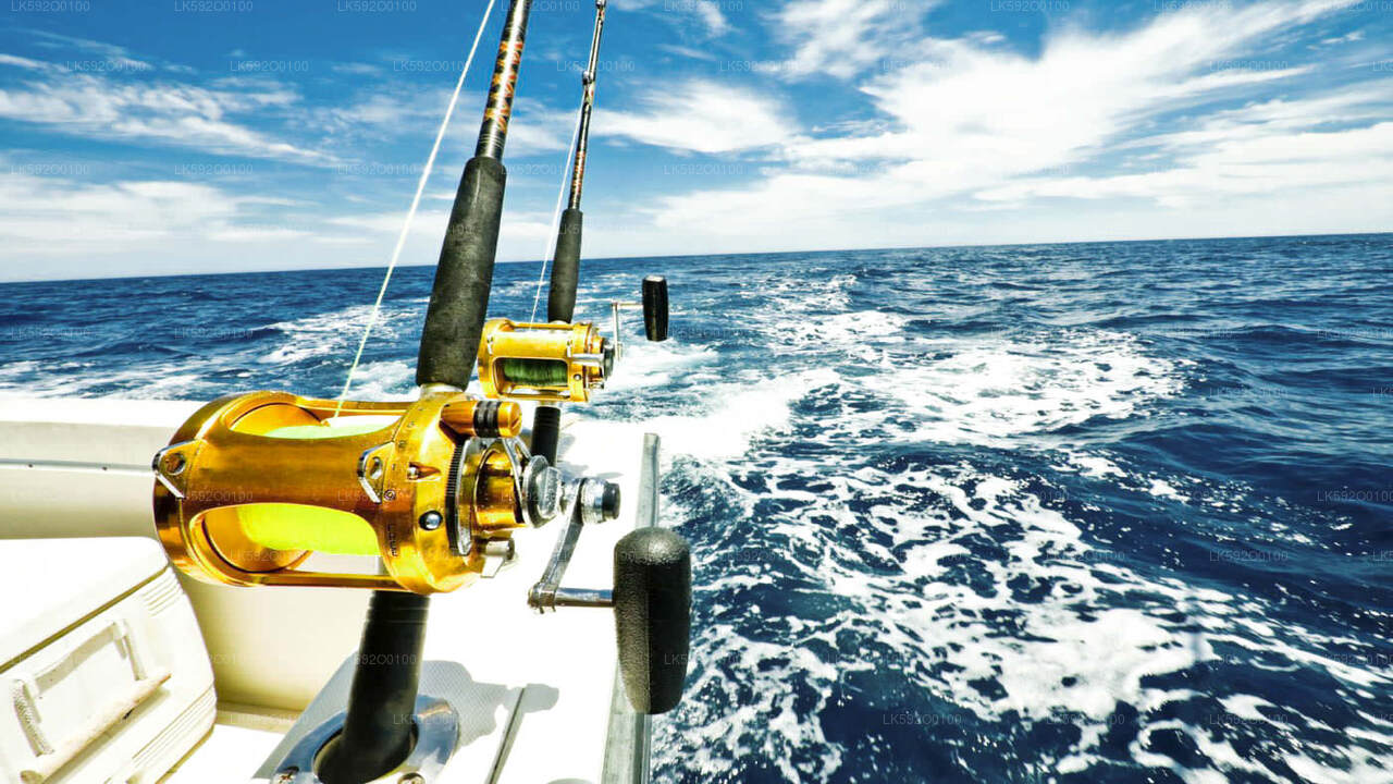 Tour in barca per la pesca d'altura da Mirissa