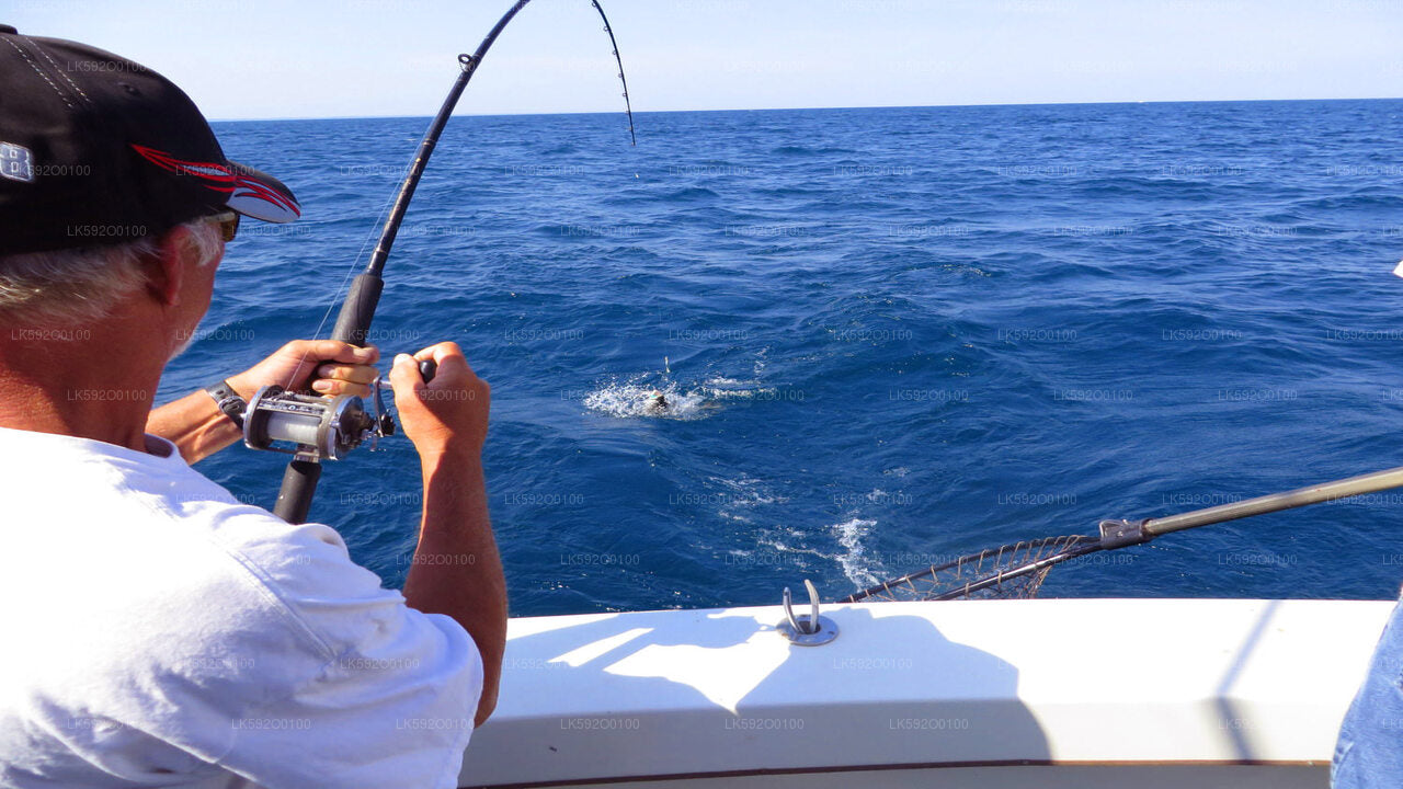 Tour in barca per la pesca d'altura da Mirissa