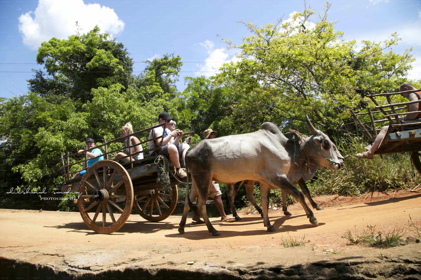 Tour della roccia e del villaggio di Sigiriya da Colombo