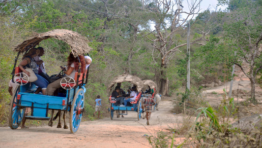 Tour della vita del villaggio da Kandy