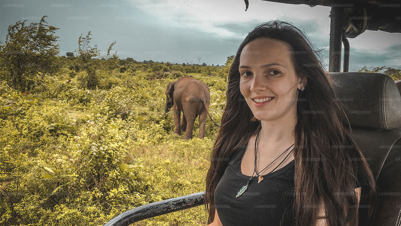 Safari nel Parco Nazionale Udawalawe da Ella