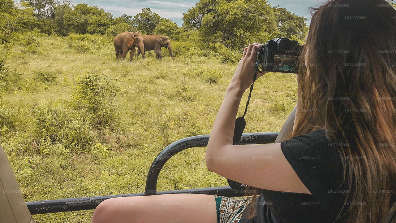 Safari nel Parco Nazionale Udawalawe da Ella