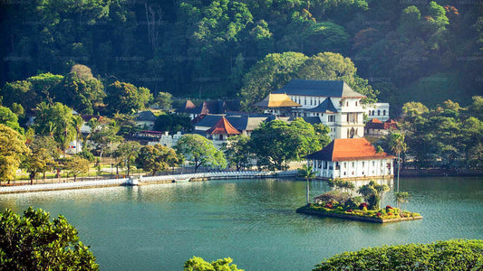 Tour della città di Kandy da Colombo