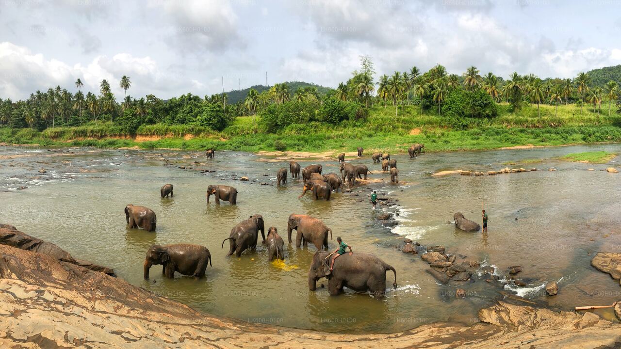 Tour della città di Kandy da Colombo