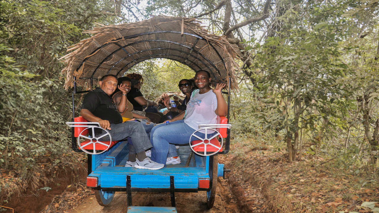 Tour della roccia e del villaggio di Sigiriya da Colombo