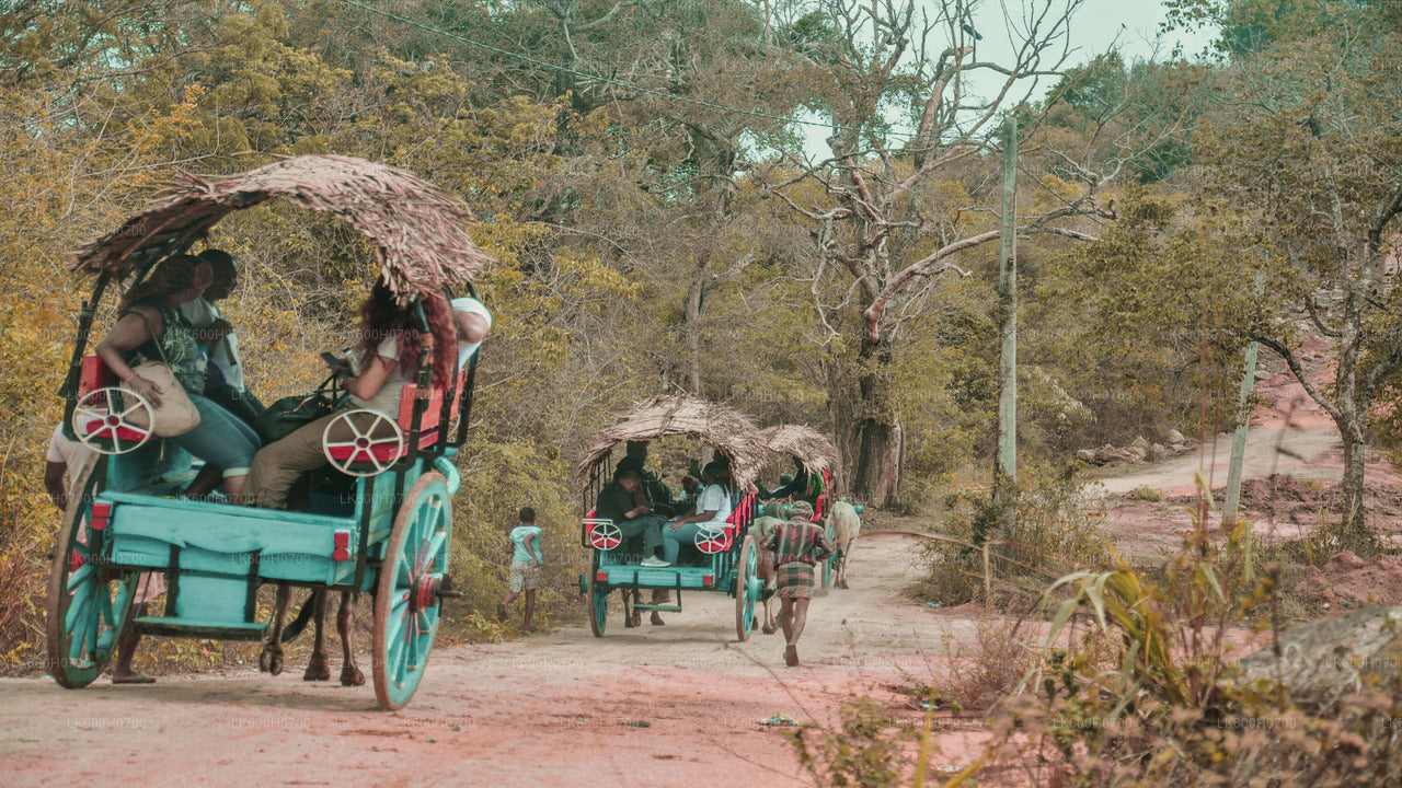 Tour della roccia e del villaggio di Sigiriya da Colombo