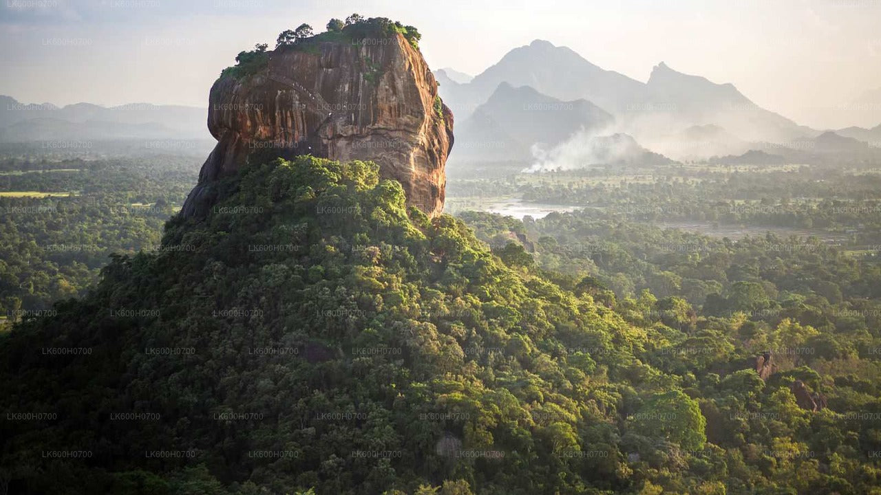 Tour della roccia e del villaggio di Sigiriya da Colombo