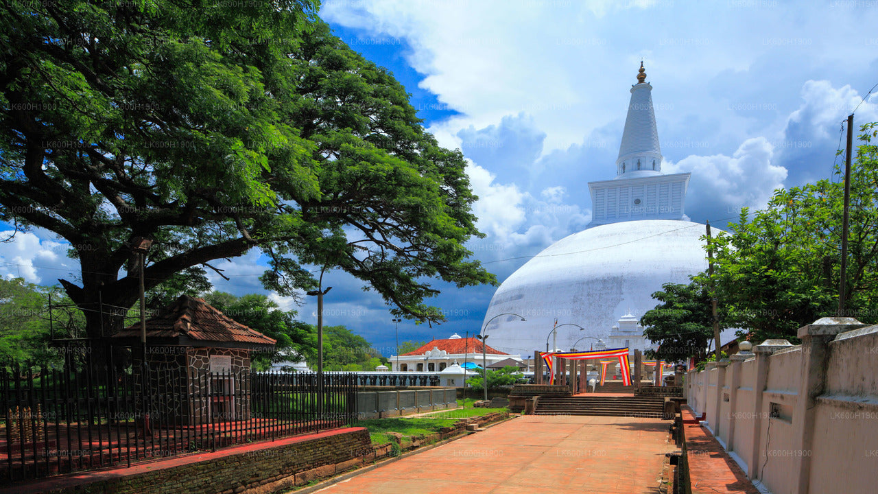 Città sacra di Anuradhapura da Colombo