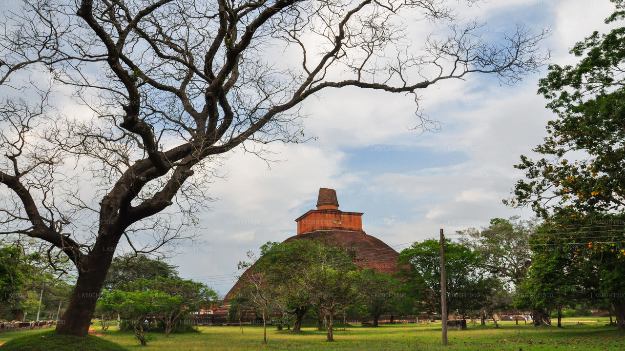 Città sacra di Anuradhapura da Colombo
