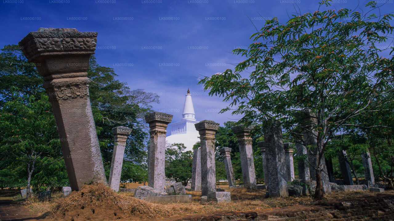 Città sacra di Anuradhapura da Dambulla